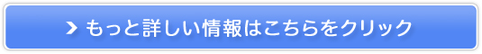u[~vZ^300̔TCg